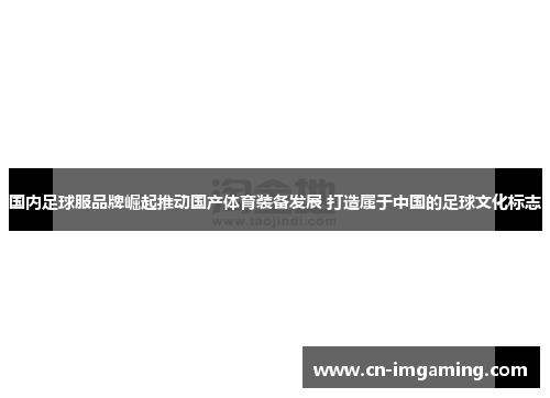 国内足球服品牌崛起推动国产体育装备发展 打造属于中国的足球文化标志