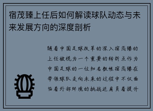 宿茂臻上任后如何解读球队动态与未来发展方向的深度剖析