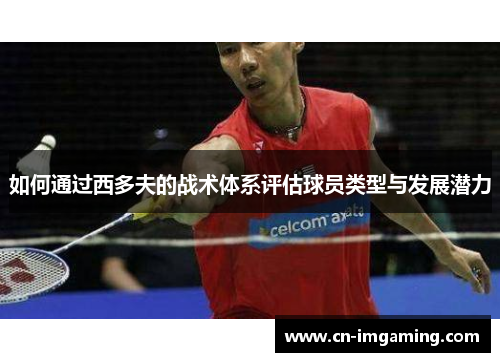 如何通过西多夫的战术体系评估球员类型与发展潜力 如何通过西多夫的战术体系评估球员类型与发展潜力