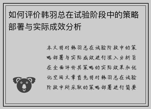 如何评价韩羽总在试验阶段中的策略部署与实际成效分析
