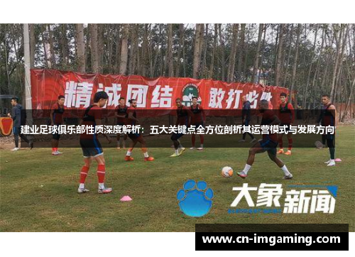 建业足球俱乐部性质深度解析：五大关键点全方位剖析其运营模式与发展方向