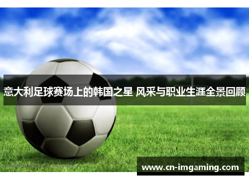 意大利足球赛场上的韩国之星 风采与职业生涯全景回顾