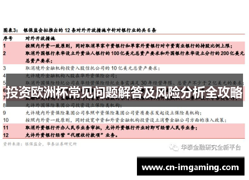 投资欧洲杯常见问题解答及风险分析全攻略