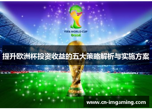 提升欧洲杯投资收益的五大策略解析与实施方案