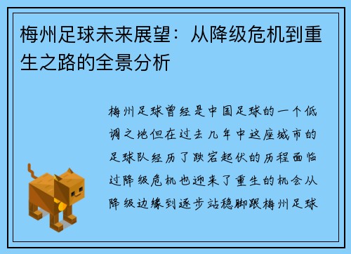 梅州足球未来展望:从降级危机到重生之路的全景分析 梅州足球未来展望:从降级危机到重生之路的全景分析